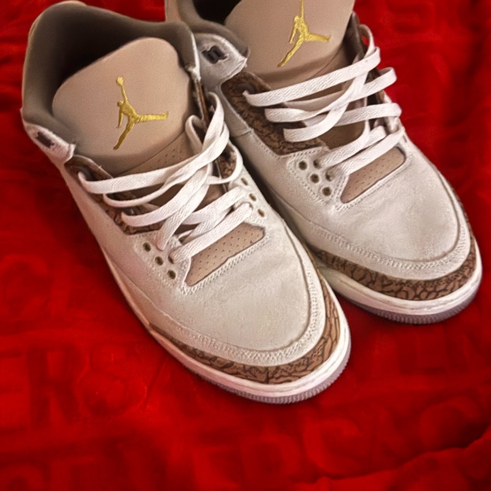 Air Jordan Sneakers with Gold Accents